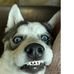 Becky Schardt - Facebook