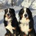 Becky Wells Scheel - Facebook