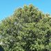 Becky Schenk - Facebook