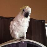 Becky Scherer - @roguemom2 - Instagram
