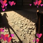 Becky Schipper - @asbfan2 - Instagram