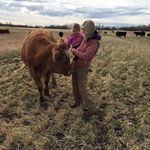 Becky Haugen - @becky.schmidt.9847 - Instagram