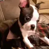 beckyschmitt7 - @beckyschmitt7 - TikTok