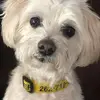 beckyschmittwilde - @beckyschmittwilde - TikTok