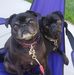 Becky Schnabel-Larson - Facebook
