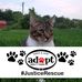 Becky Shaffer - Facebook
