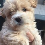 Becky - @_becky.silva_ - Instagram