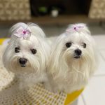 Becky & Snow White - @beckyesnow - Instagram