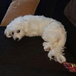 Becky Snow - @becky.snow.3517 - Instagram