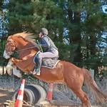 Becky Speed - @becky.speed - Instagram