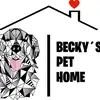 BeckysPetHome - @beckyspethome - TikTok