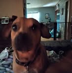 Becky Spoon - Facebook