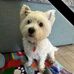 Becky Spratt - Facebook