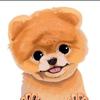 Becca sprinkle - @becca22345567 - TikTok