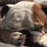 Becky Stackhouse - @stackhousebecky - Instagram