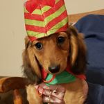 Becky Stacy - @becky.stacy.3150 - Instagram