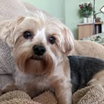 @becky.staley.35 - Instagram
