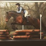 Becky Staples - @eventingbeckystaples - Instagram