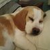 Becky St Clair - Facebook