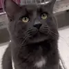 BeckySteadman75 - @beckysteadman75 - TikTok