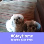Becky Stecker Hoag - @becky.hoag.313 - Instagram