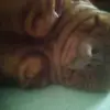 Becky Stinson273 - @fidgettoyssss1289 - TikTok