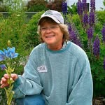 Becky Stinson - @stinson.becky - Instagram