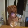 beckystinson626 - @beckystinson626 - TikTok