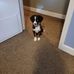 Becky St John - Facebook