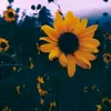 Becky Stocker - @beckystocker_20 - TikTok