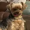 beckystocker - @becky.stocker4 - TikTok