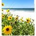 Rebecca Stogsdill - Facebook
