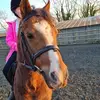 Becky Stokes288 - @beckystokes7 - TikTok