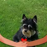 Becky Stotts - @beckystotts - Instagram