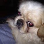 Becky Stretch - @floydgeoman1 - Instagram