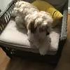 beckystringer - @beckystringer0 - TikTok