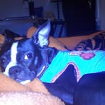 Becky Stringfellow - Facebook