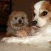 Becky Stultz - Facebook