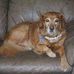 Becky Stump - Facebook