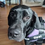 Becky Stump - @batgirl021672 - Instagram