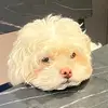 BeckySun - @user2814140747814 - TikTok