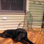 Becky Taber - Facebook