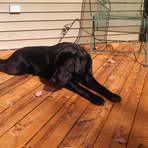 Becky Taber - Facebook