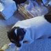 Becky Tackett - Facebook