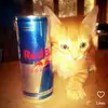 b.beckyl1 - @b.beckyl1 - TikTok