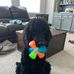 Rebecca Tarleton Hoelscher - Facebook