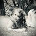 Rebecca Teal - Facebook