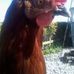 Becky Teasdale - Facebook