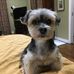 Becky Engle Terhune - Facebook