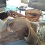 Becky Thacker - Facebook